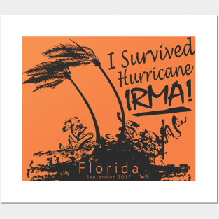 I Survived Hurricane Irma Posters and Art